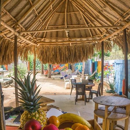 Hostel Hipilandia Taganga Dış mekan fotoğraf