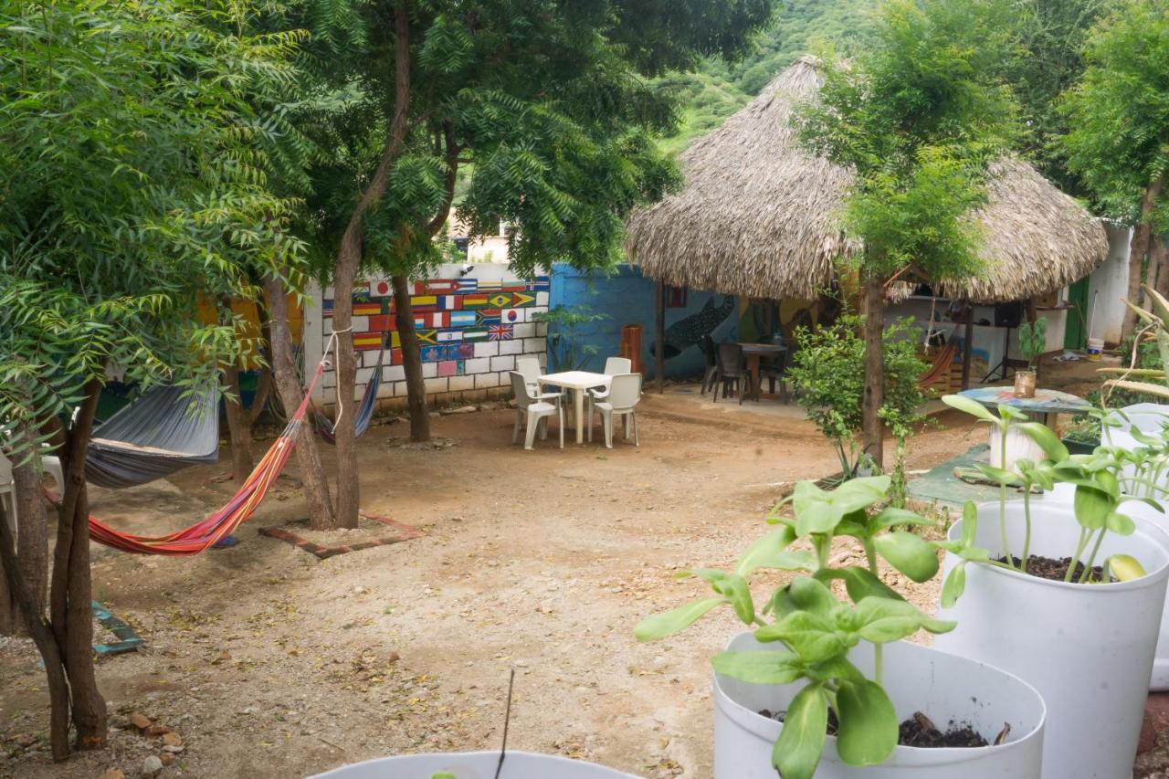 Hostel Hipilandia Taganga Dış mekan fotoğraf